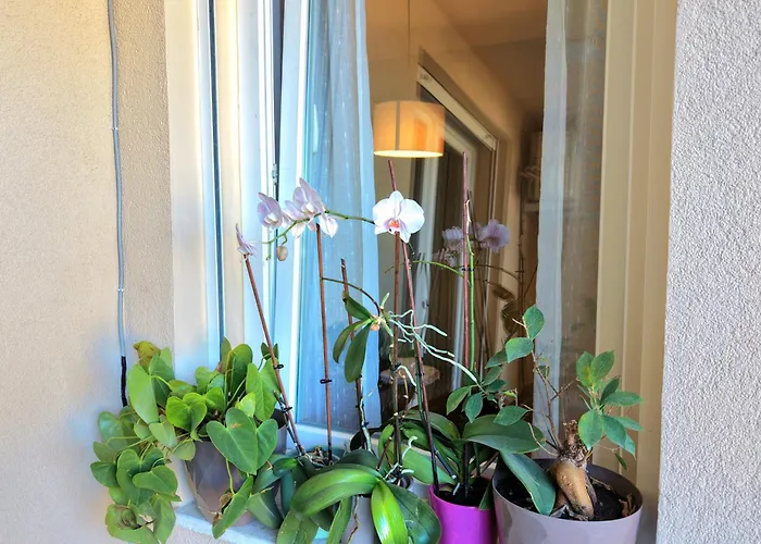 Luce Appartement Shkodër